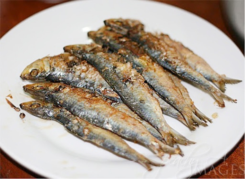 Tuyo