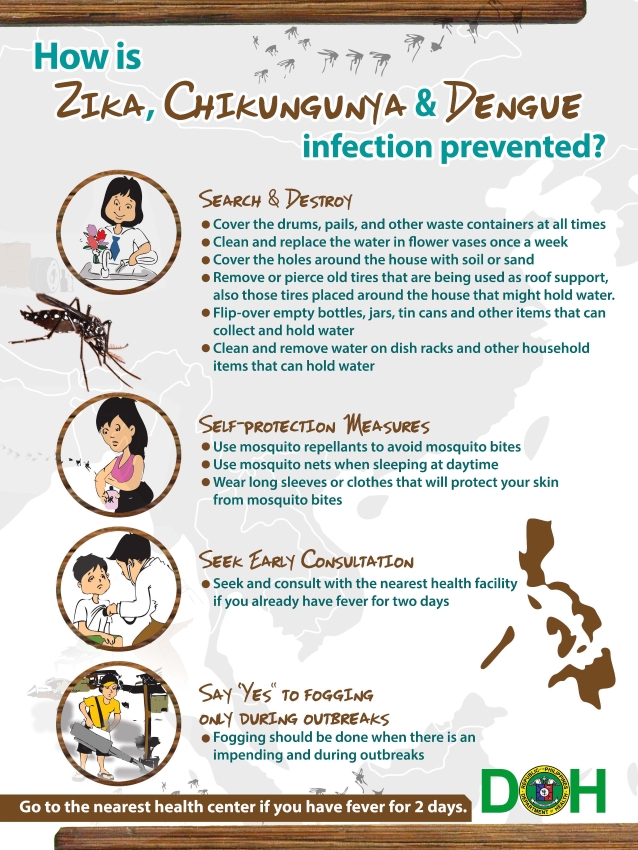 infographics_zika_chikungunya_dengue_resized