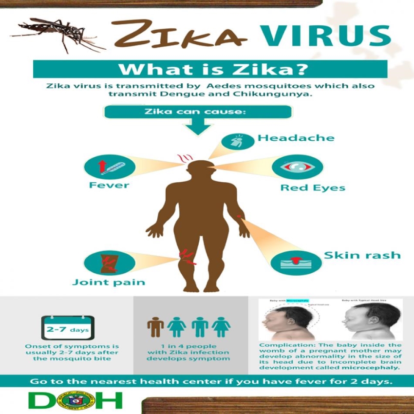zika_virus_resized
