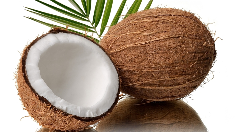 coconut1-1