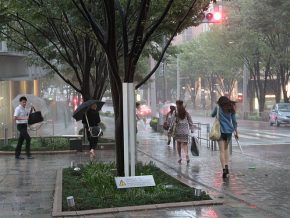 Tips on How to Survive the Typhoon Season
