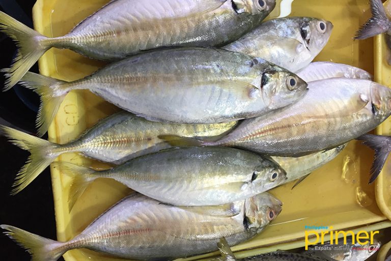 Market Guide to Common Fishes in the Philippines Philippine Primer