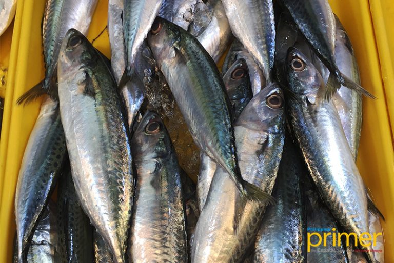 Market Guide to Common Fishes in the Philippines Philippine Primer