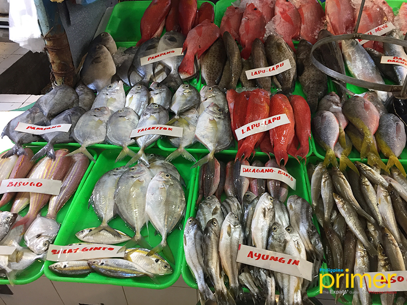 Market Guide To Common Fishes In The Philippines Philippine Primer