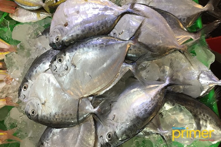 Market Guide to Common Fishes in the Philippines | Philippine Primer