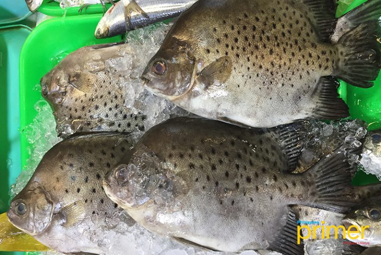 Market Guide to Common Fishes in the Philippines Philippine Primer