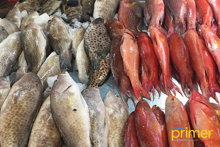 Market Guide to Common Fishes in the Philippines Philippine Primer