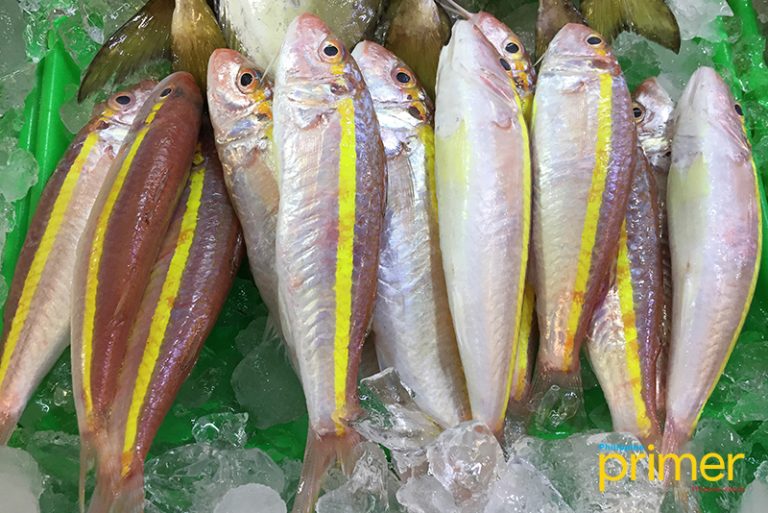 Market Guide to Common Fishes in the Philippines Philippine Primer