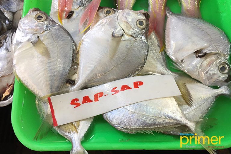 Market Guide to Common Fishes in the Philippines | Philippine Primer
