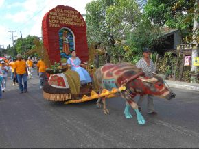Carabao-Carroza Festival in IloIlo