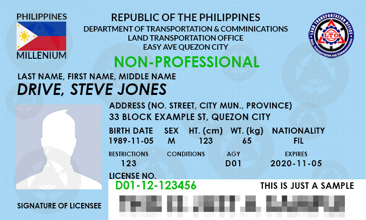 Expats Guide to Valid IDs in the Philippines | Philippine Primer