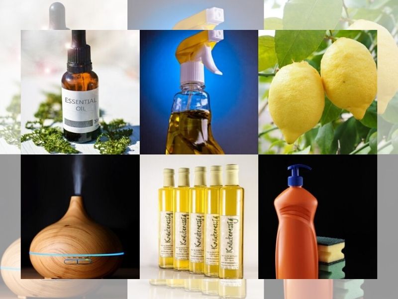 6 Natural Disinfectants You Can Find at Home and How to Use Them Philippine Primer