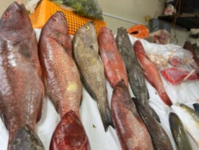 EXPAT’S GUIDE: Dampa Restaurants in the Pasay Bay Area