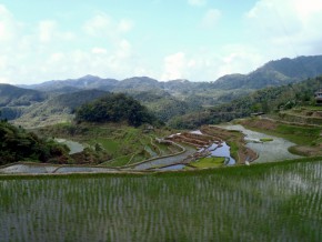 Batad Rice Terraces: Backpacking for Starters