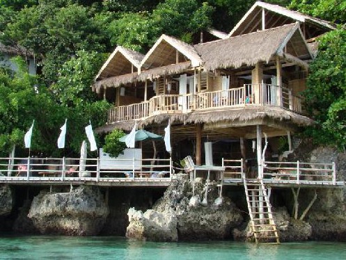Spider House Philippine Primer - 