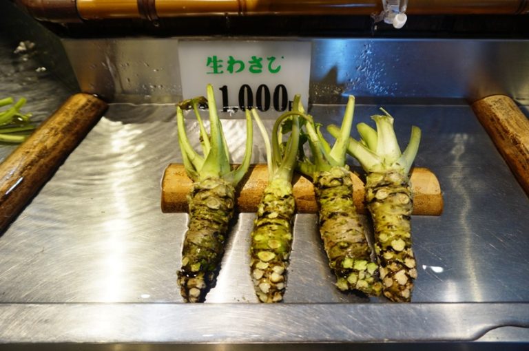 A Visit to Daio Wasabi Farm in Nagano, Japan Philippine Primer