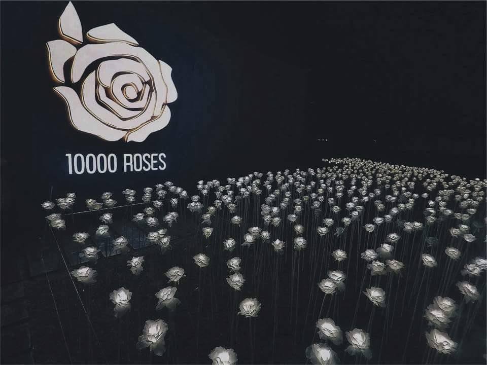 10,000 Roses Cafe in Cebu | Philippine Primer