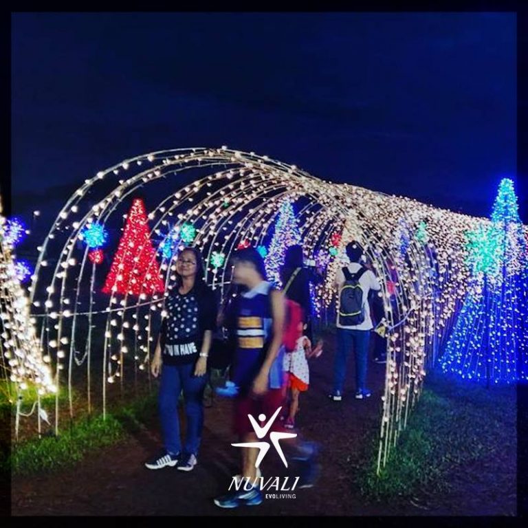 Magical Field of Lights in Nuvali Philippine Primer