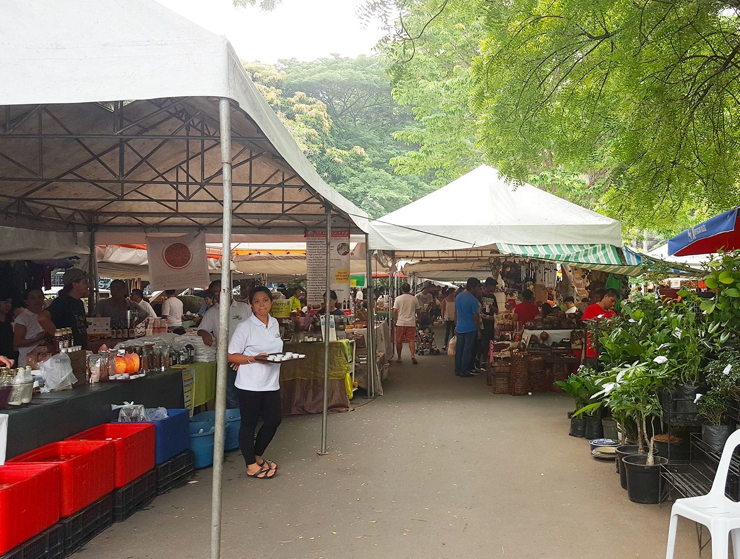 One Day Guide to Legazpi Sunday Market Philippine Primer