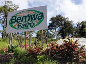 Look: Bemwa Farm in Davao City