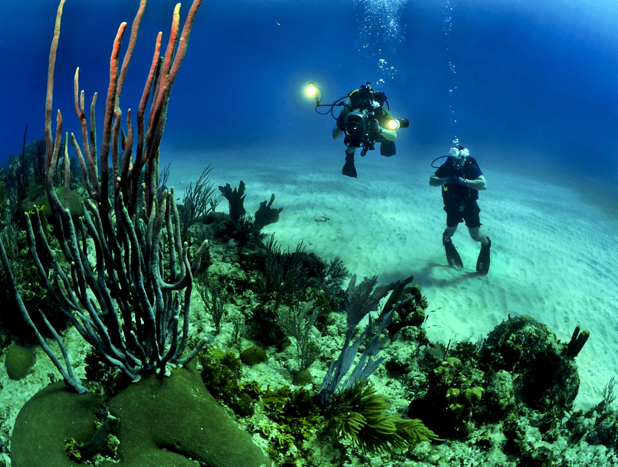 5 Beach Resorts in the Philippines for Underwater Photography