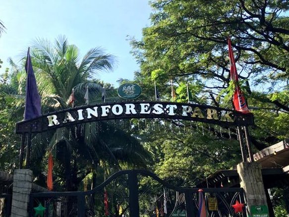 Rainforest Adventure Experience and new Sunflower Field 