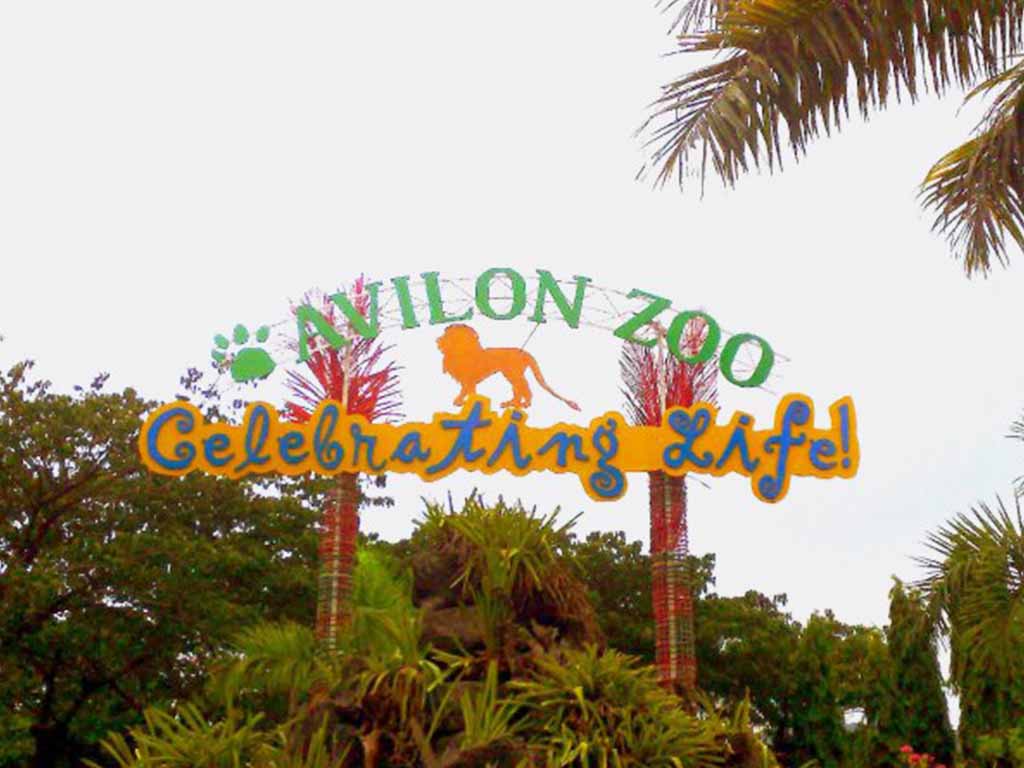 Avilon Zoo In Rizal The Largest Zoological Institution In PH