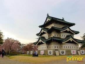 JAPAN TRAVEL: Hirosaki Castle and Park in Aomori: Springtime’s Most Beautiful Cherry Blossom Destination
