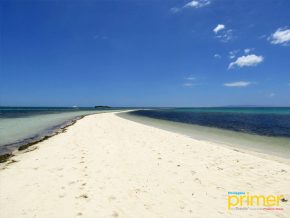 Virgin Island in Panglao is One of Bohol’s Most Picturesque Views