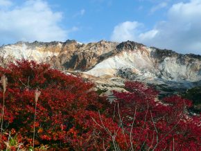 JAPAN TRAVEL: Hakodate Spots for Nature and Leisure Lovers