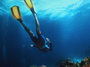 Our Sea, Our Story: Diving Experience In the New Normal