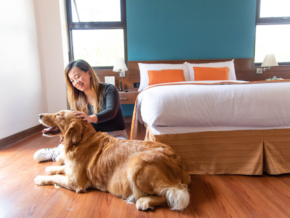 Giraffe Boutique Hotel in Baguio: Your Perfect Tranquil, Pet-Friendly Retreat