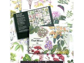 Cynthia Bauzon-Arre’s Stationery Online Shop: Capturing Nature’s Beauty