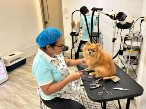 One Luke in Makati: Bringing Japan’s Trusted Pet Hotel and Grooming Experience to the Philippines